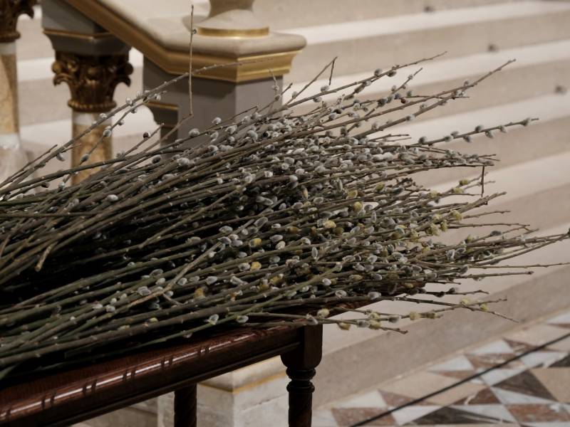 Virágvasárnap (1).JPG